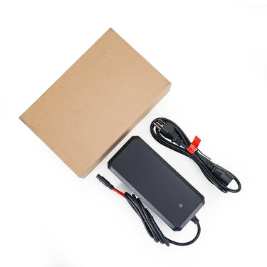 84V 4A Charger for Daytona